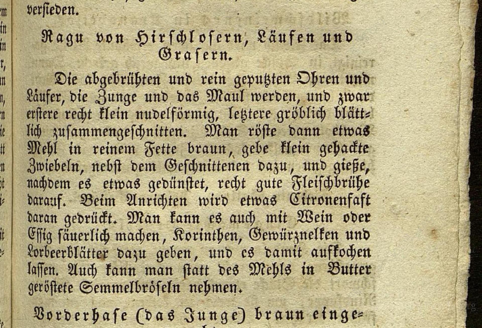 Ragu Von Hirschlosern, Läufen Und Grasern