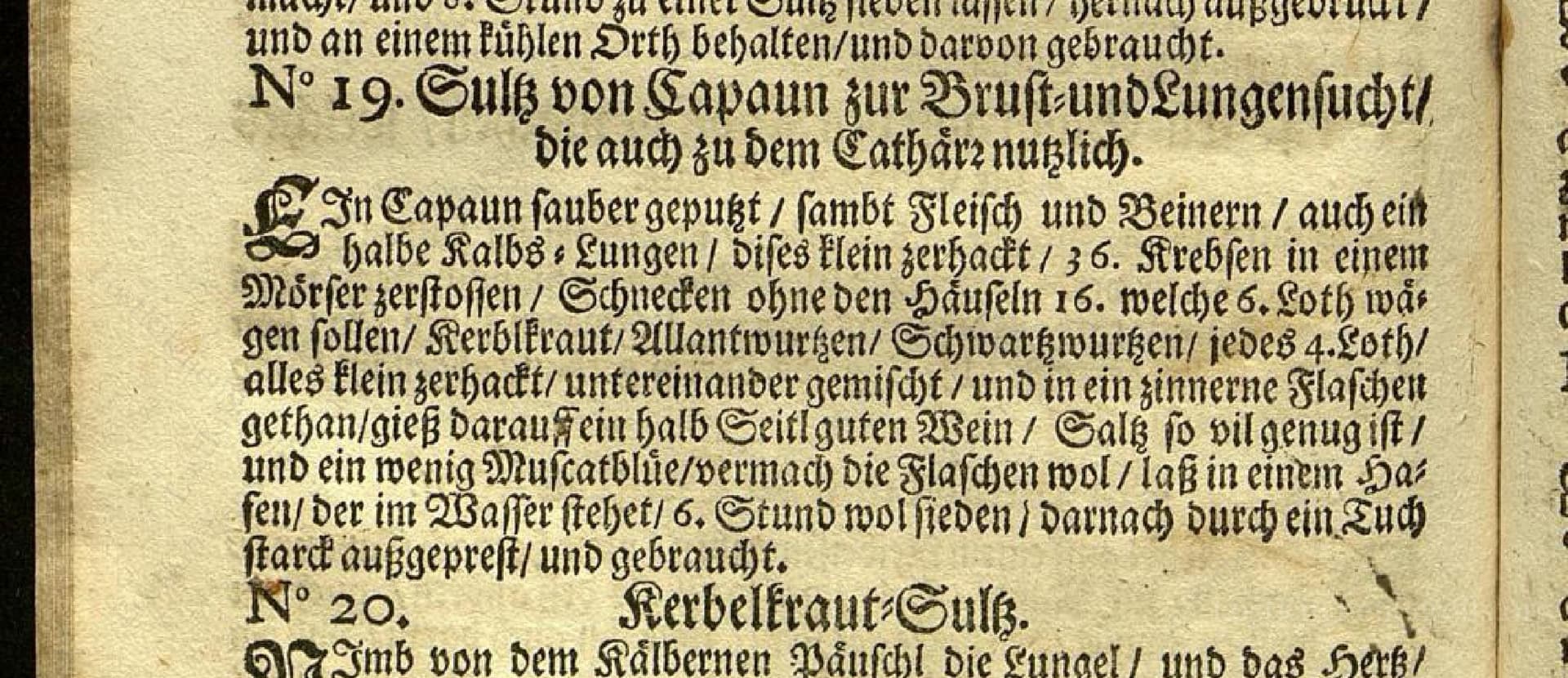 N° 19. Sulz Von Capaun Zur Brust- Und Lungensucht / Die Auch Zu Dem Cathårz Nutzlich