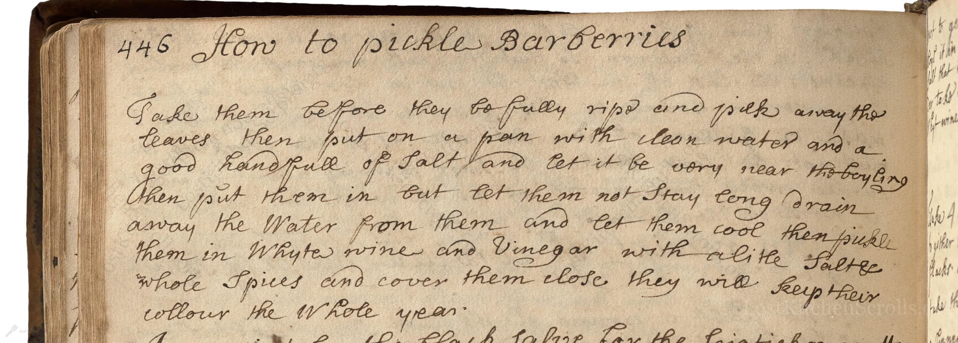How To Pickle Barberries