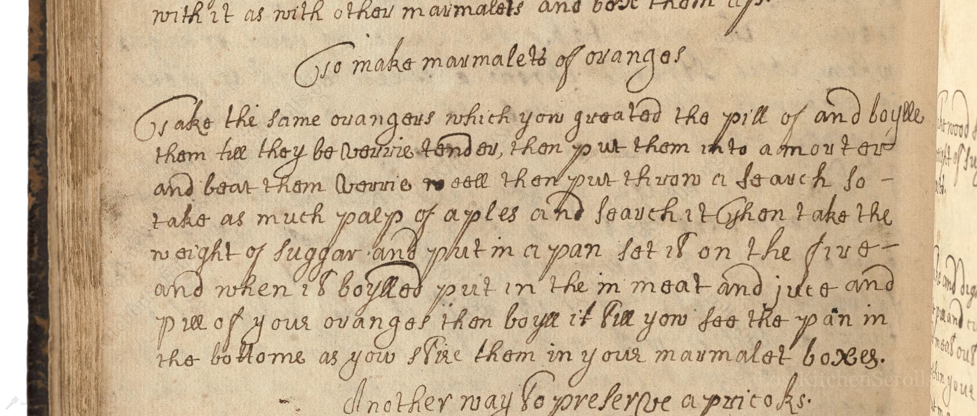 To Make Marmalett Of Orangos