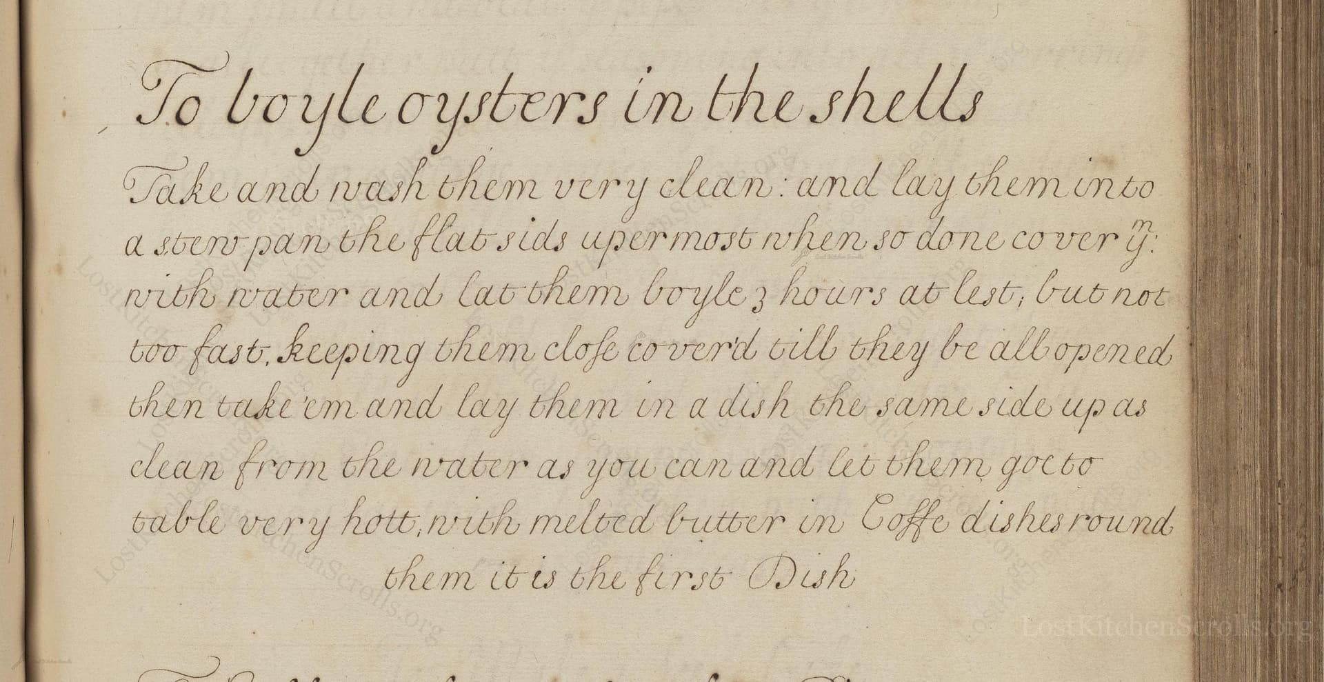 To Boyle Oysters In The Shells