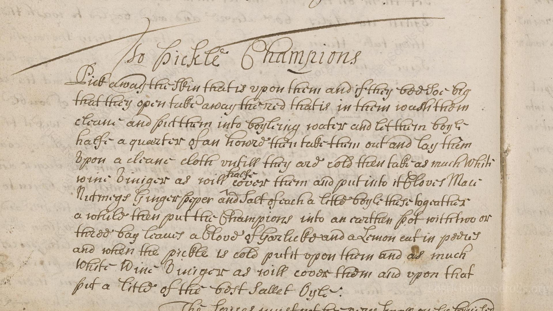 To Pickle Champions