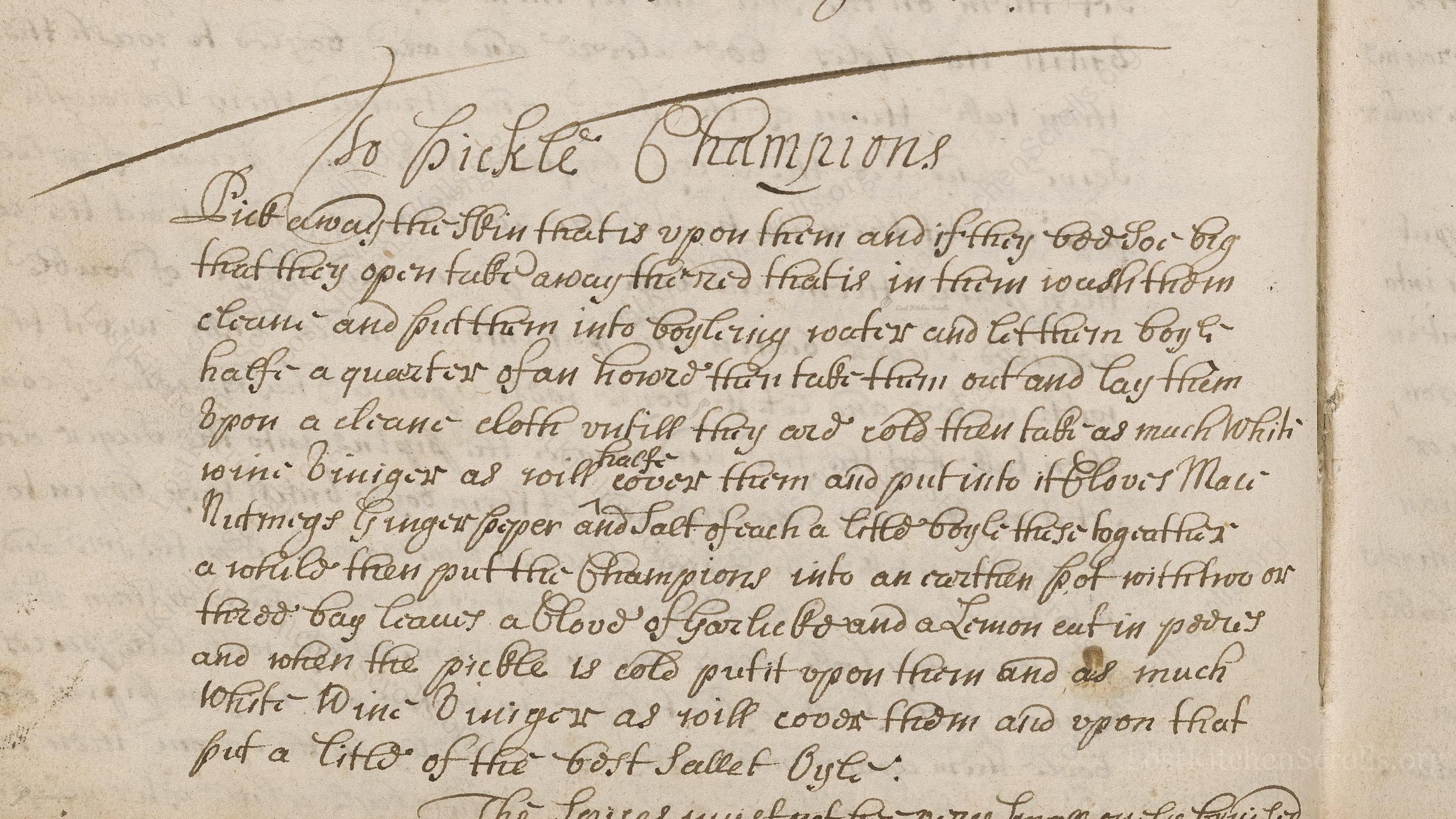 Historical recipe for To Pickle Champions