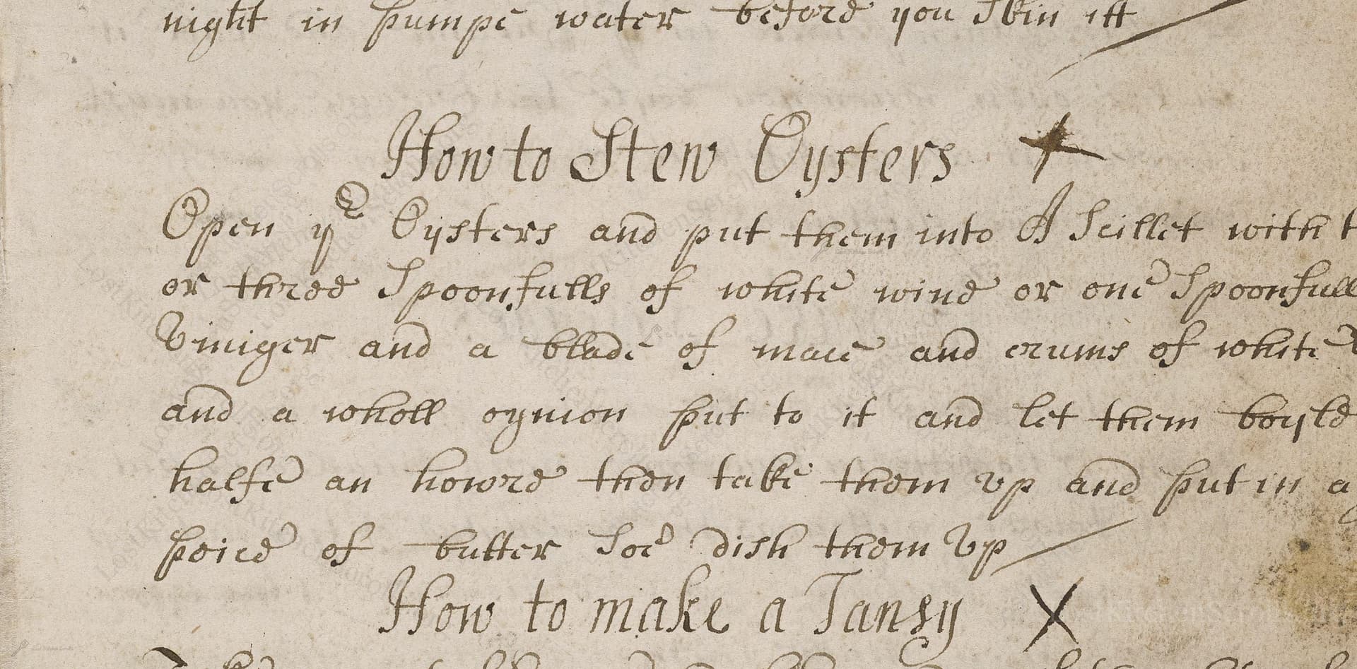 How To Stew Oysters