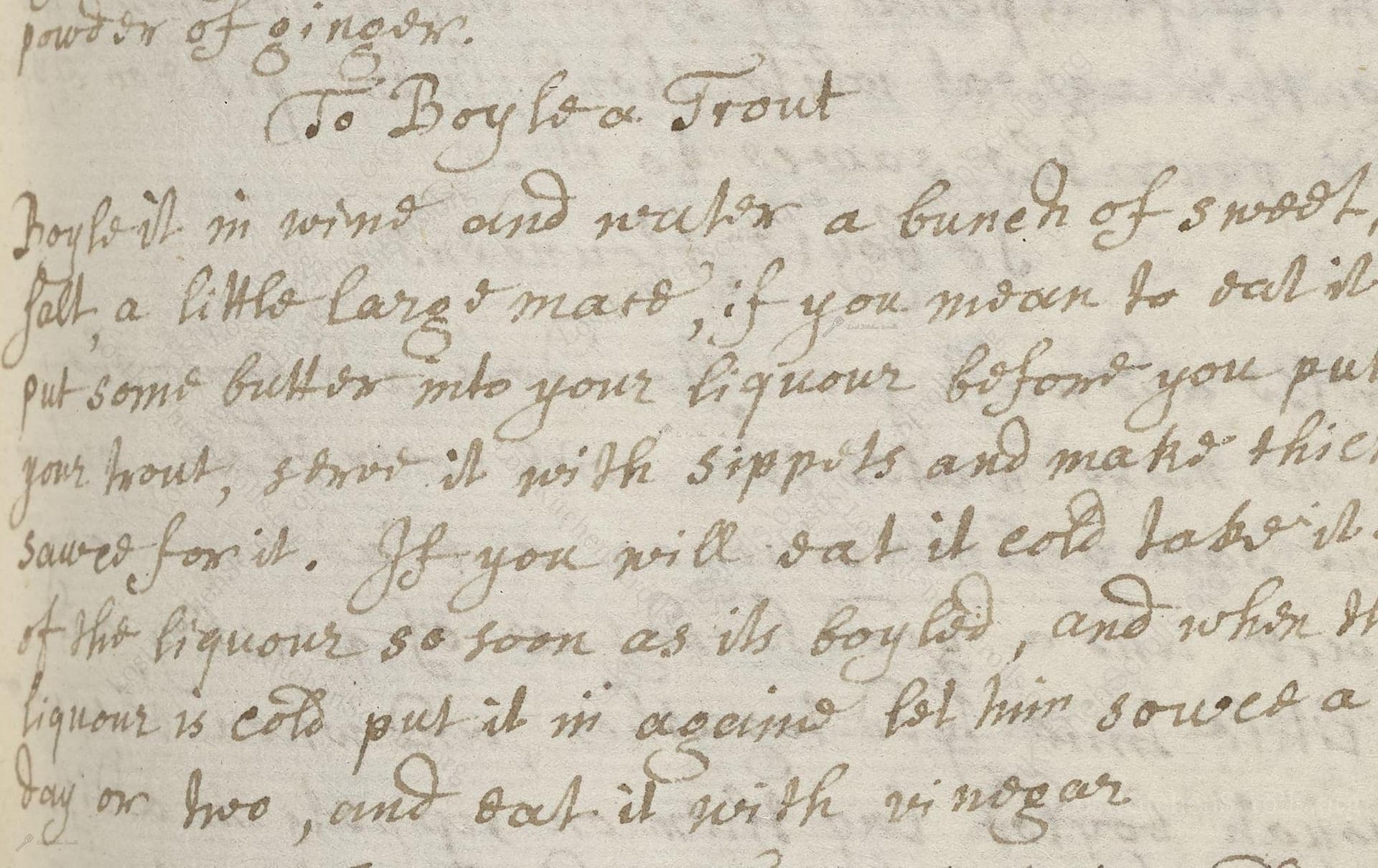 To Boyle A Trout