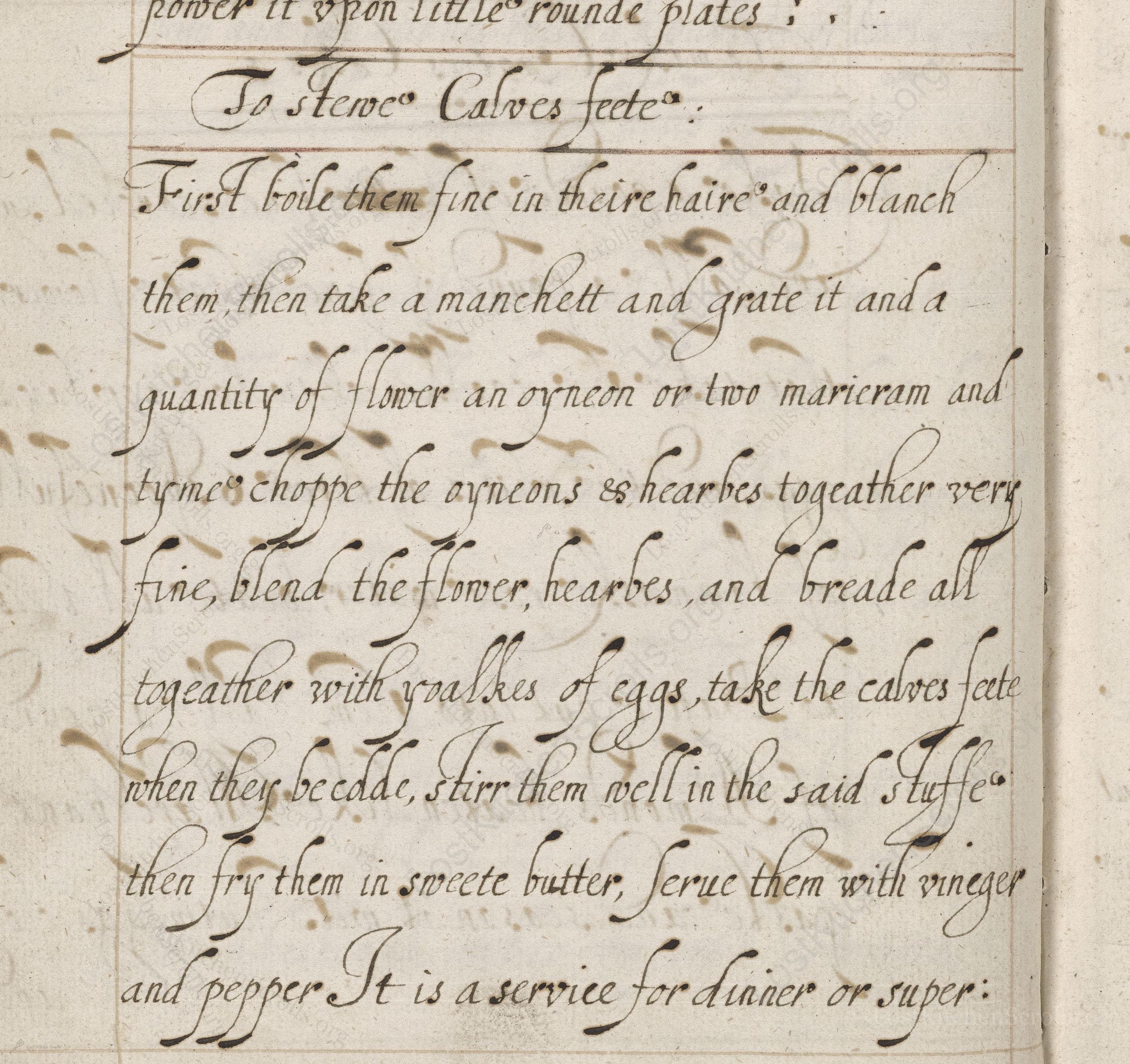 Historical recipe for To Stewe Calves Feete