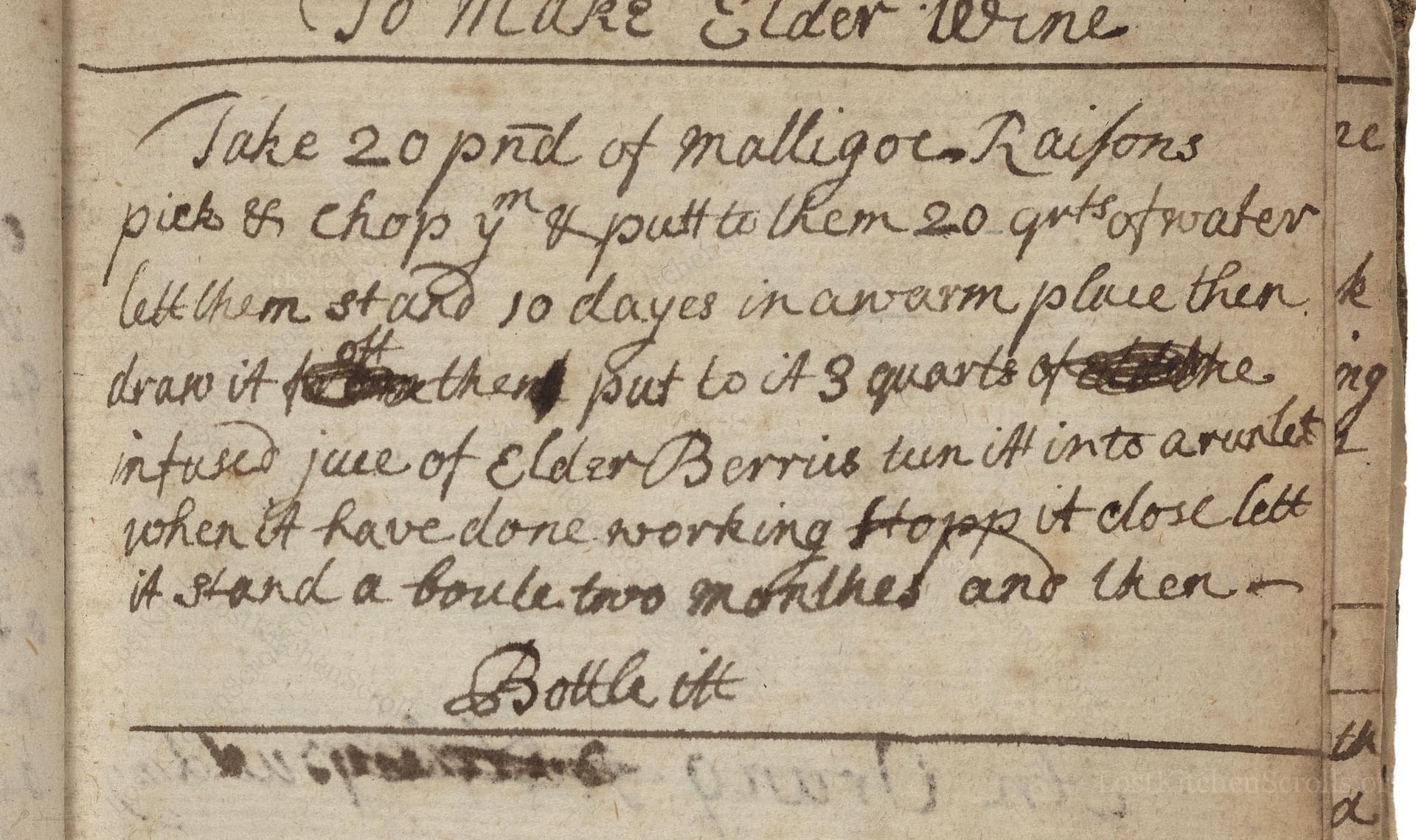 To Make Elder Wine