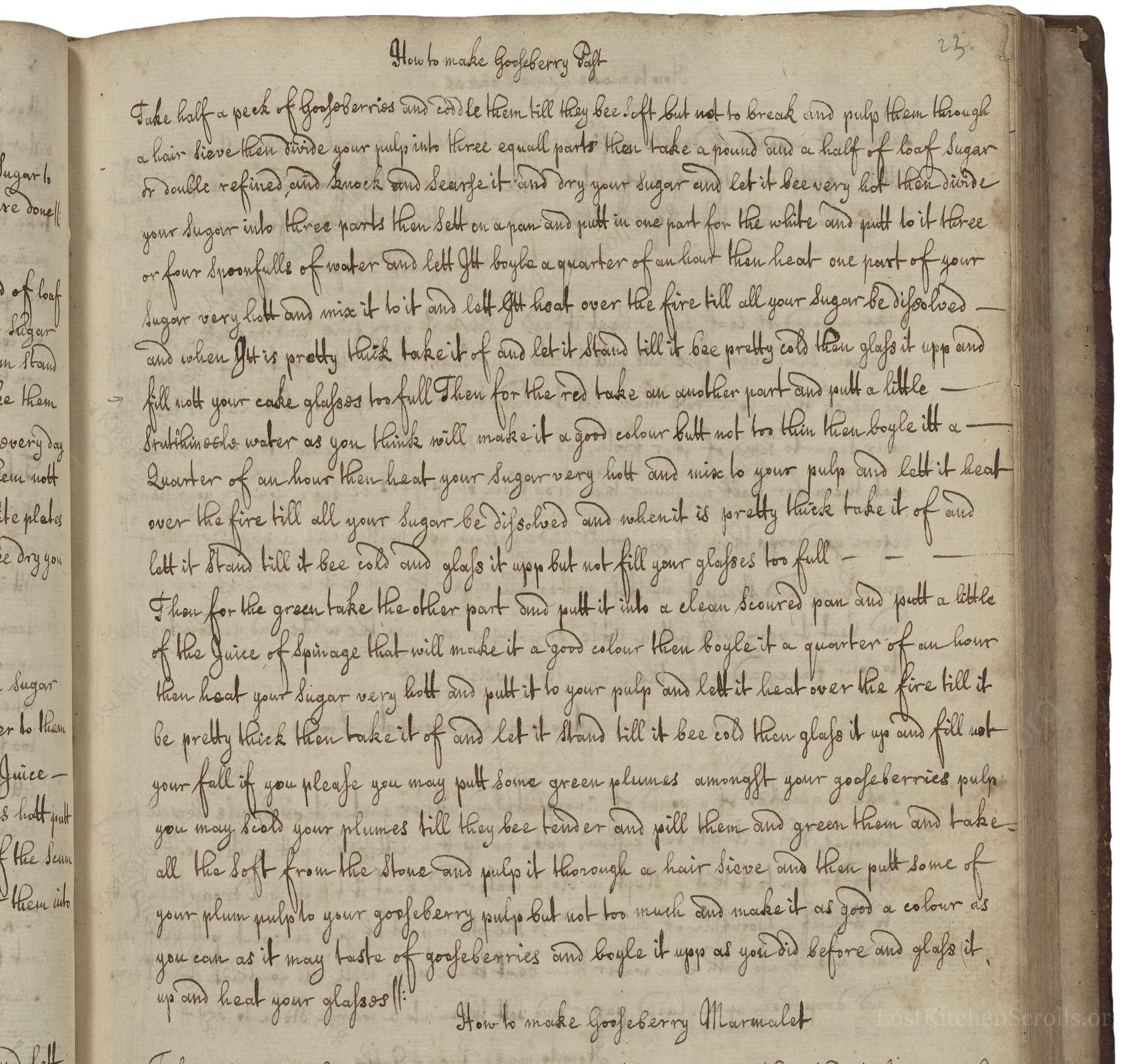 How To Make Gooseberry Past