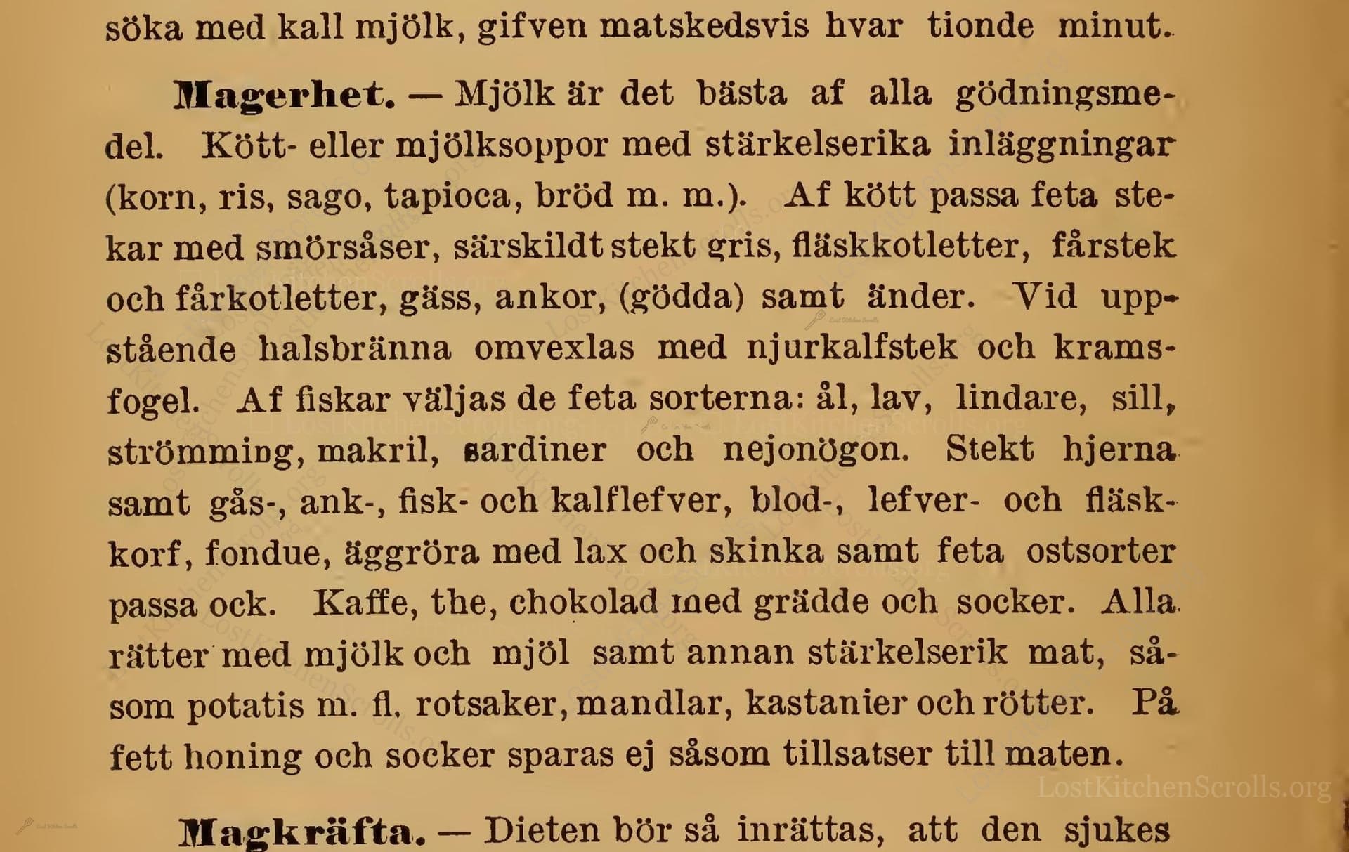 Magerhet