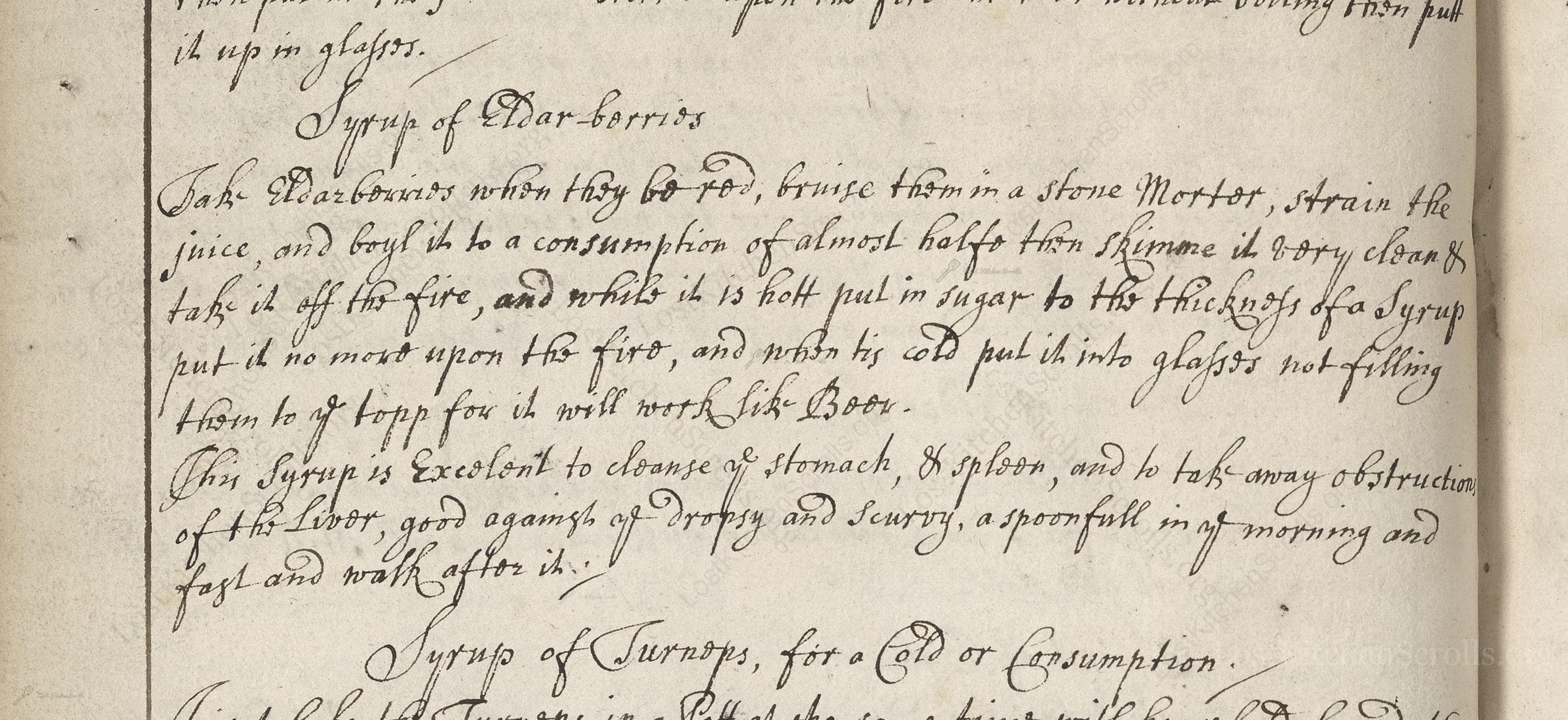 Historical recipe for Syrup Of Dar-Berries