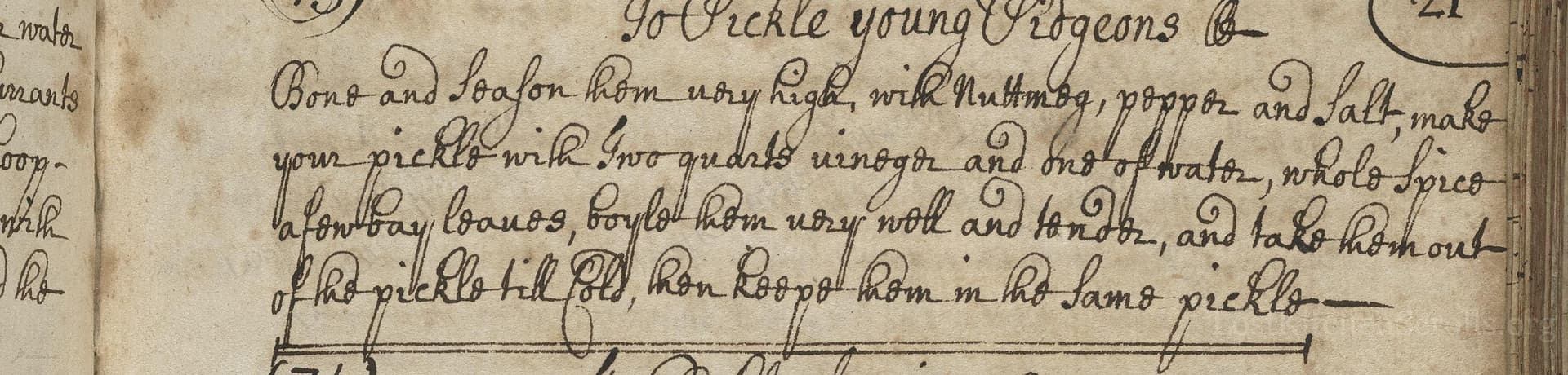 To Pickle Young Pidgeons