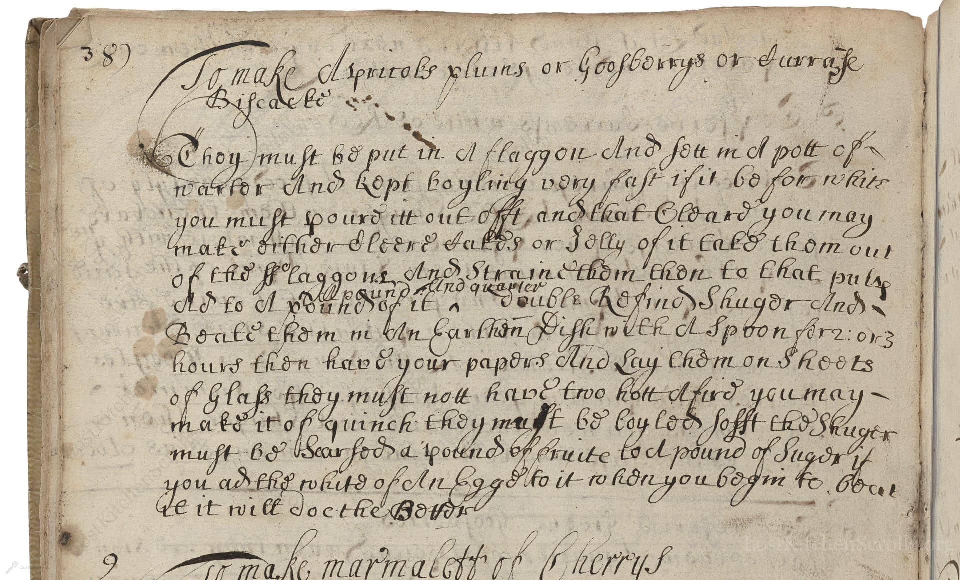 To Make Apricoks Pluims Or Goosberrys Or Surrafe