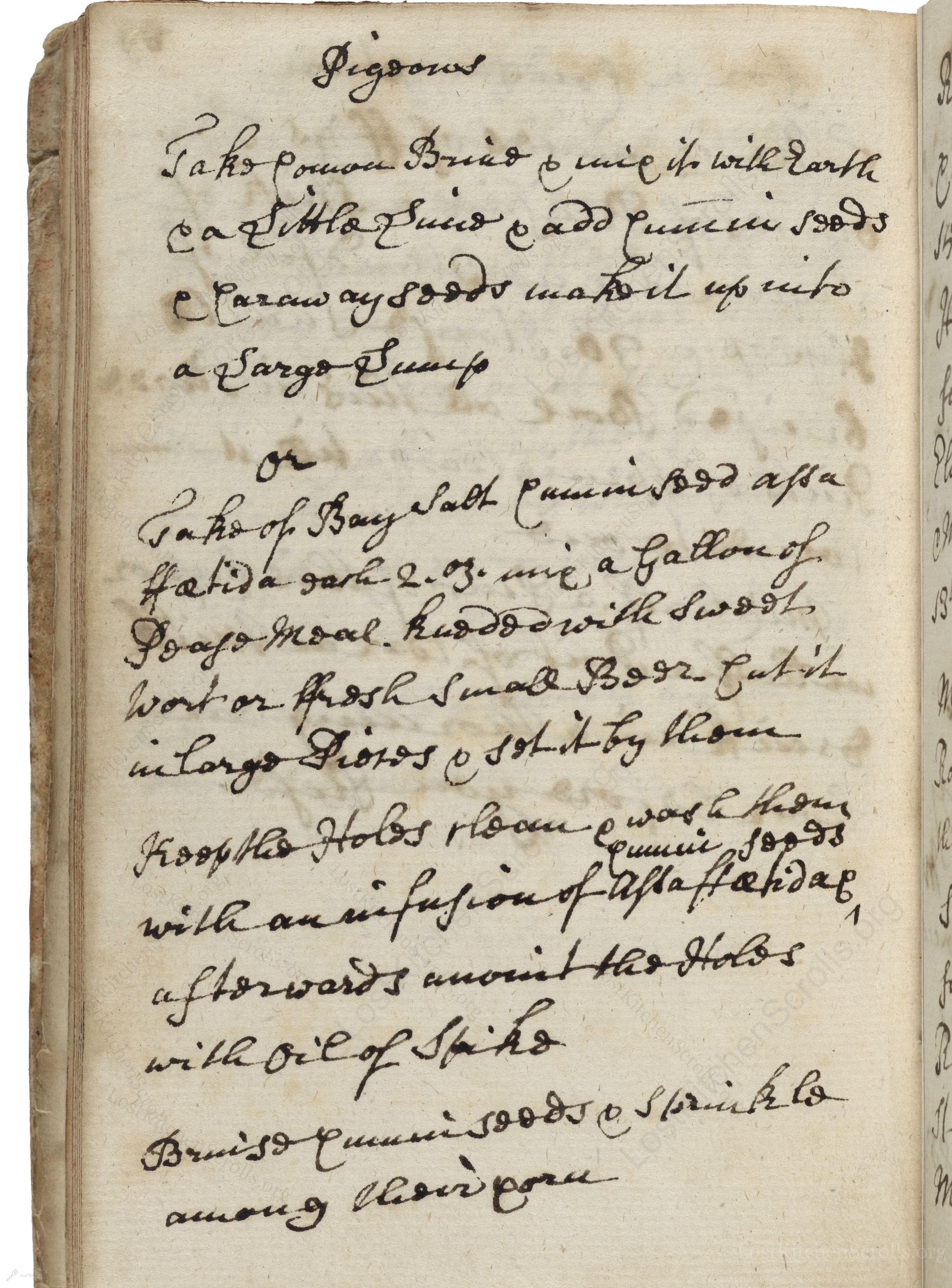 Historical recipe for Pigeons