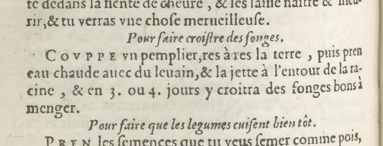 Historical recipe for Pour Faire Croistre Des Songes