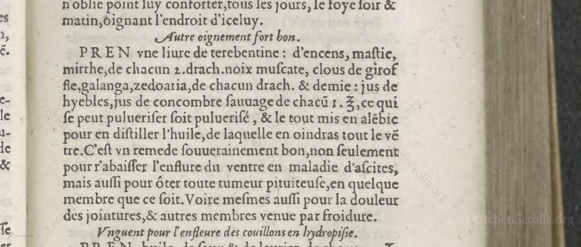 Autre Oignement Fort Bon