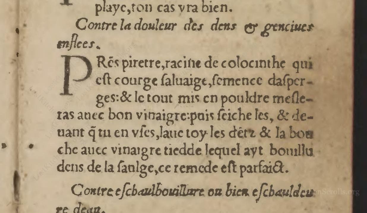 Contre La Douleur Des Dens & Gencives Enflees