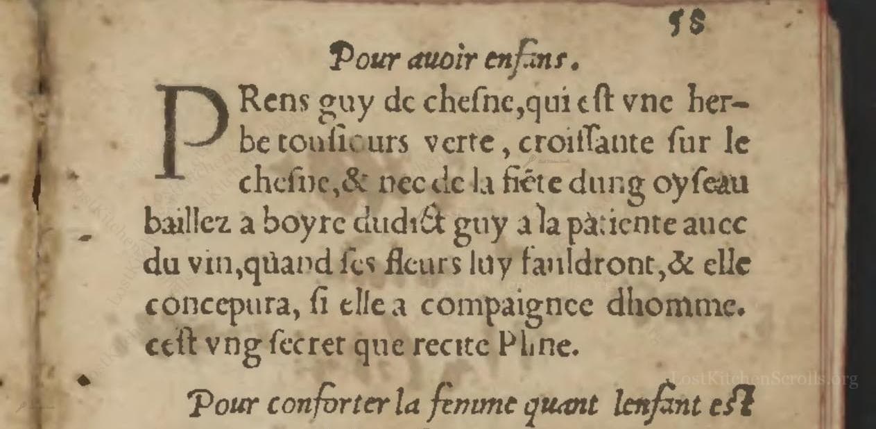 Pour Auoir Enfans
