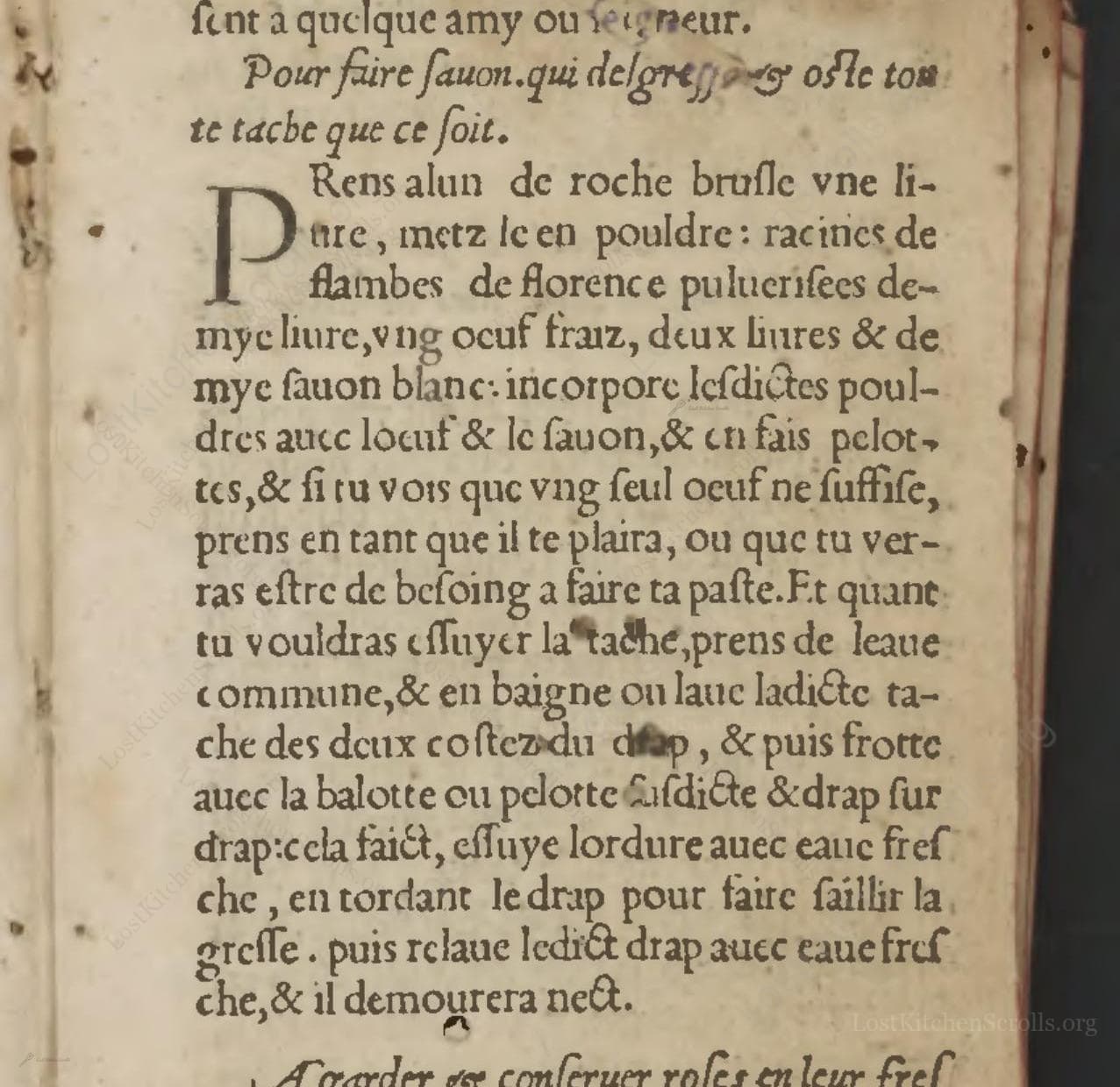 Pour Faire Sauon Qui Delgresse & Oste Toute Tache Que Ce Soit