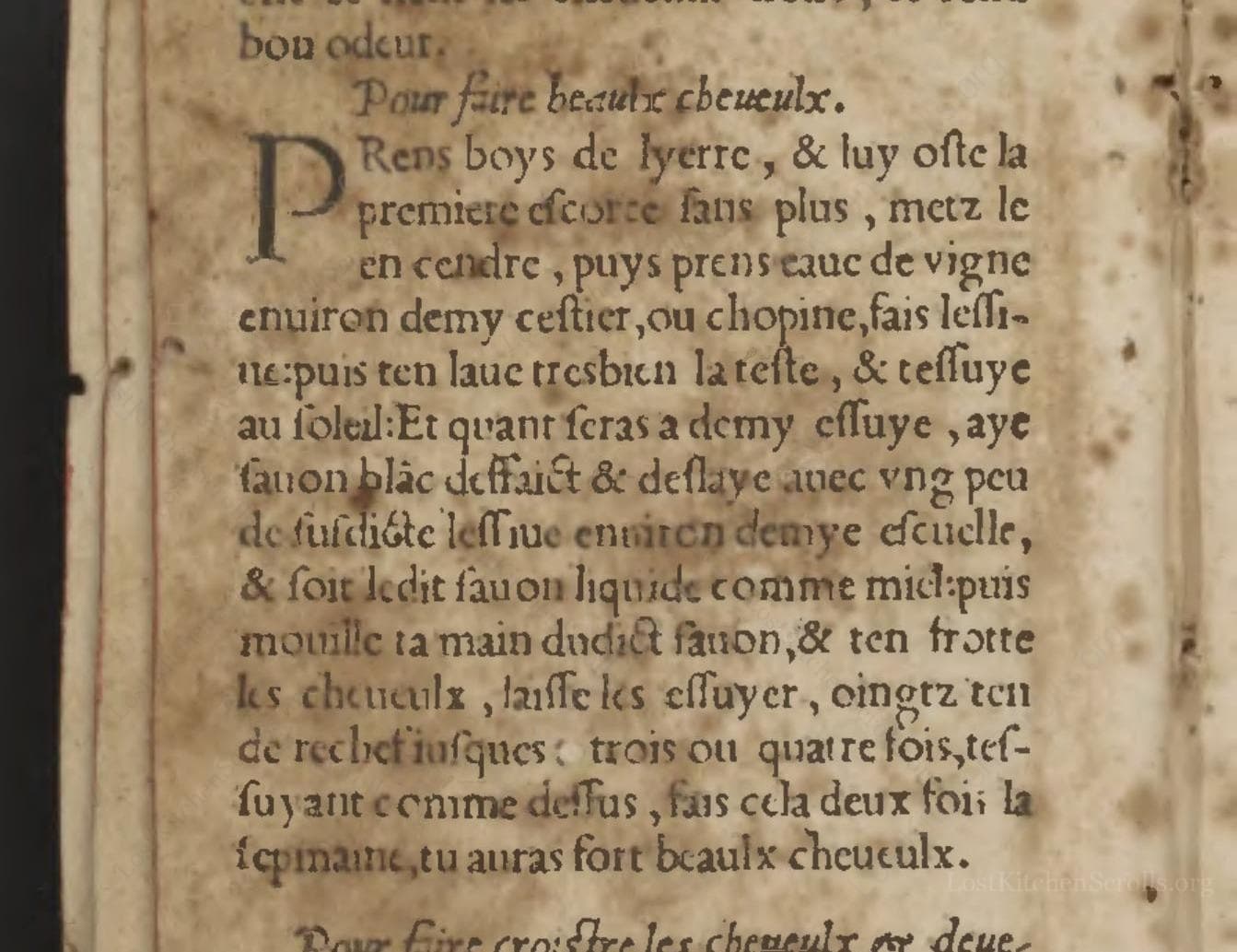 Pour Faire Beaulx Cheueulx