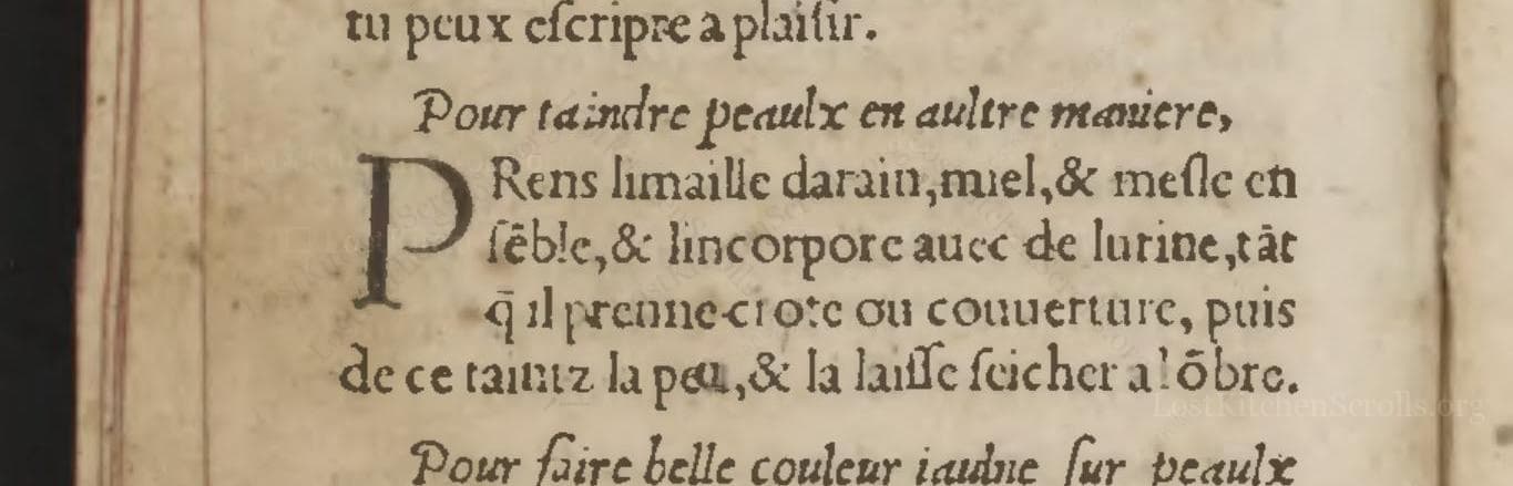 Pour Taindre Peaulx En Aultre Maniere