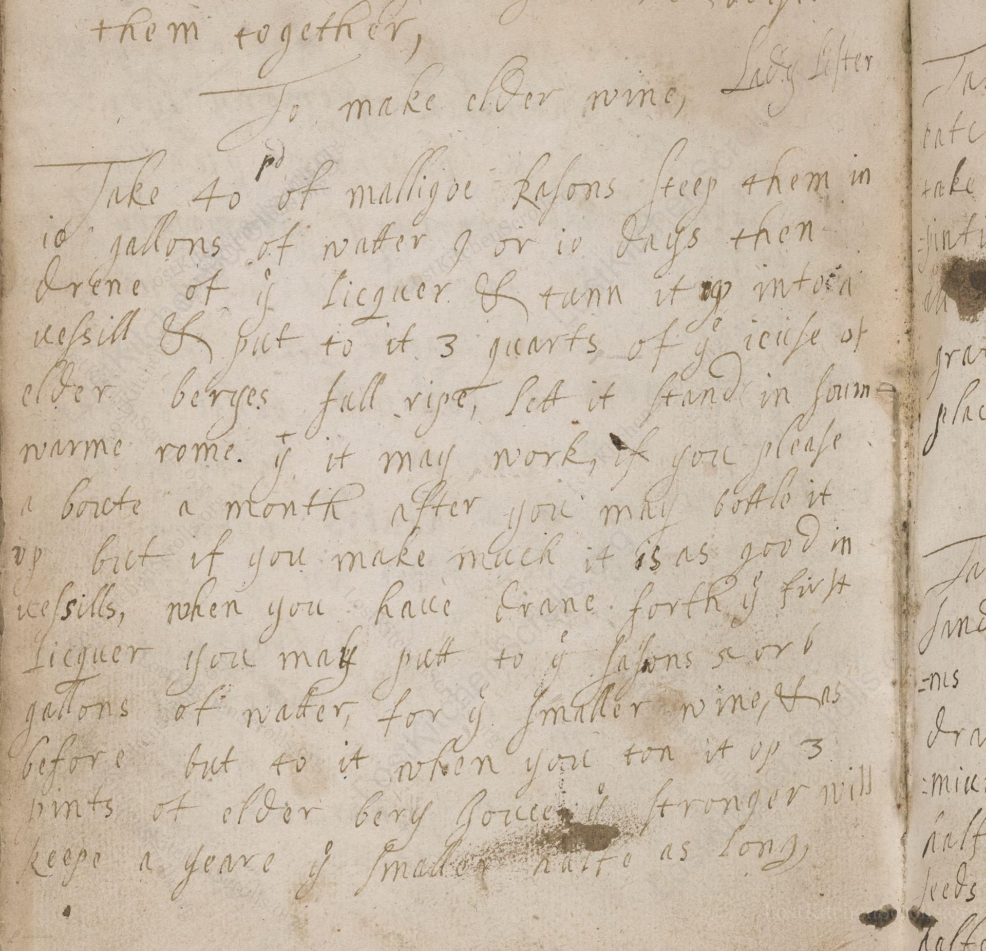 To Make Elder Wine, Lady Lister
